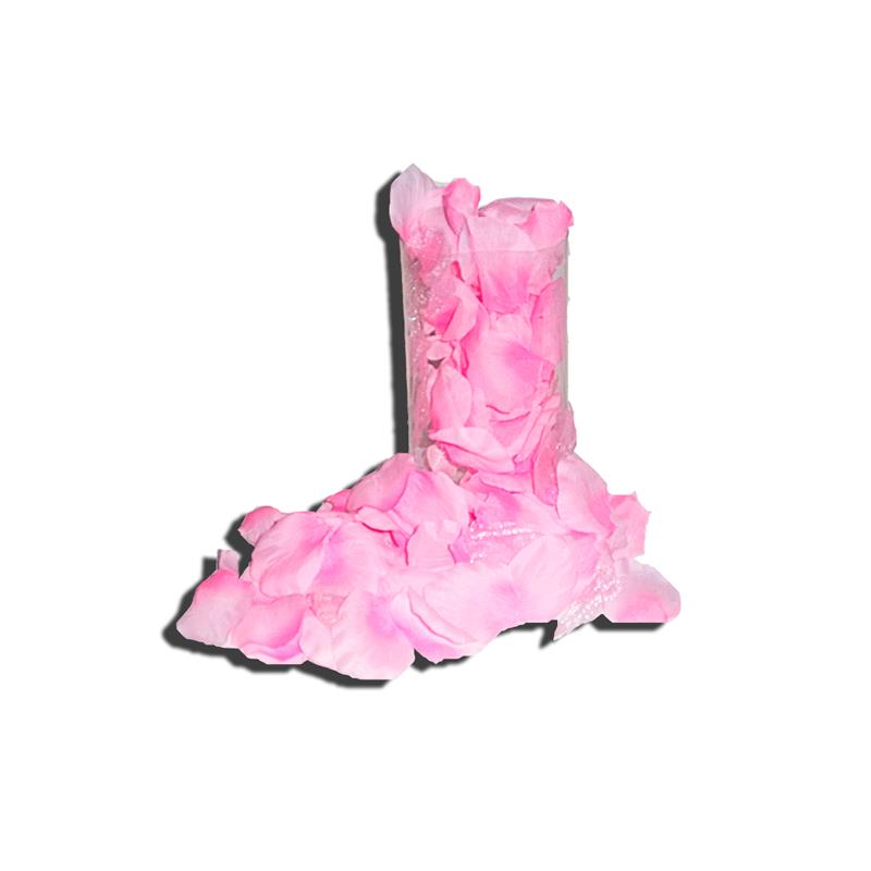 DIVERTY SEX - PÉTALOS DE ROSA 120 UNIDADES COLOR ROSA