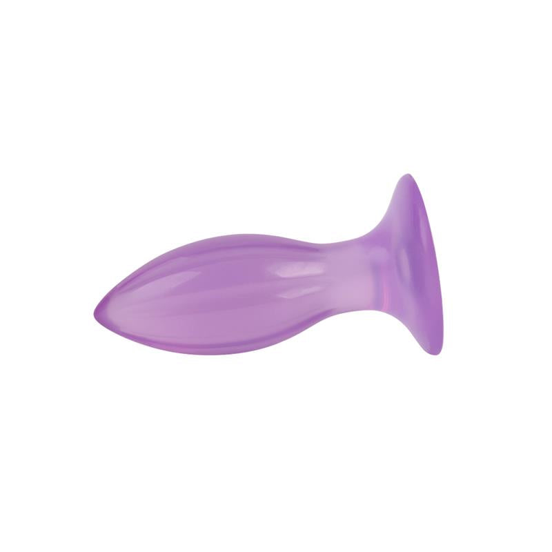 CHISA - PLUG ANAL 4.8 - 12.3CM PURPURA