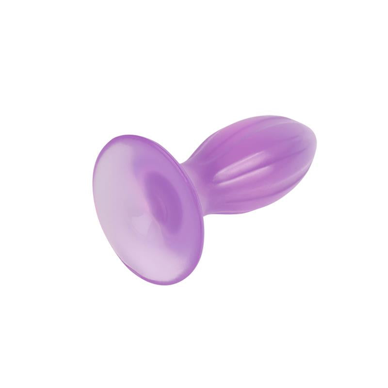 CHISA - PLUG ANAL 4.8 - 12.3CM PURPURA