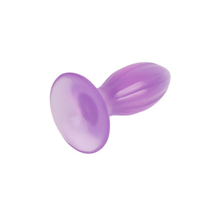 CHISA - PLUG ANAL 4.8 - 12.3CM PURPURA
