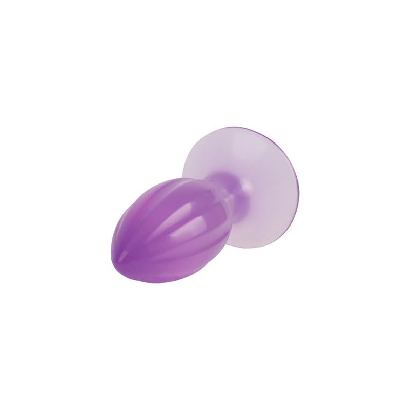 CHISA - PLUG ANAL 4.8 - 12.3CM PURPURA
