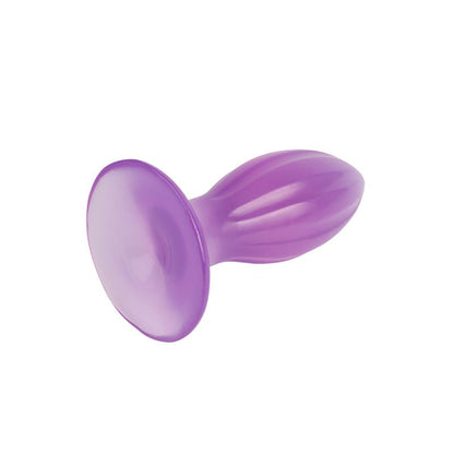 CHISA - PLUG ANAL 6.5 - 16.5CM PURPURA