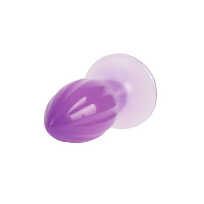 CHISA - PLUG ANAL 6.5 - 16.5CM PURPURA