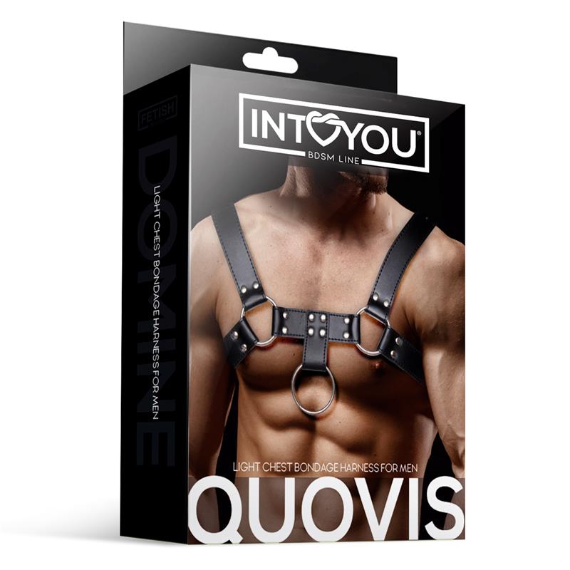 INTOYOU BDSM LINE - QUOVIS ARNÉS MASCULINO PARA BONDAGE CUERO VEGANO