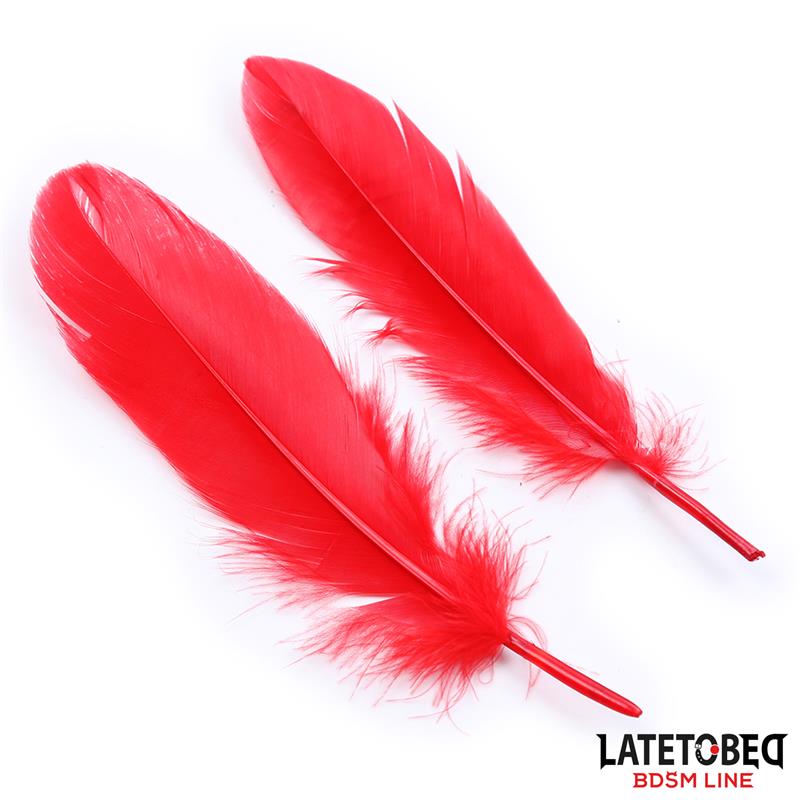 LATETOBED BDSM LINE - SET DE 3 PIEZAS ANTIFAZ, PLUMAS Y ESPOSAS