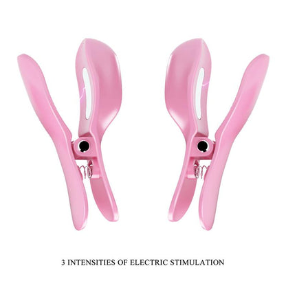 PRETTYLOVE - SURPRISE BOX HUEVO VIBRADOR Y PINZAS PARA PEZONES CON ELECTRO ESTIMULACIÓN ROSA