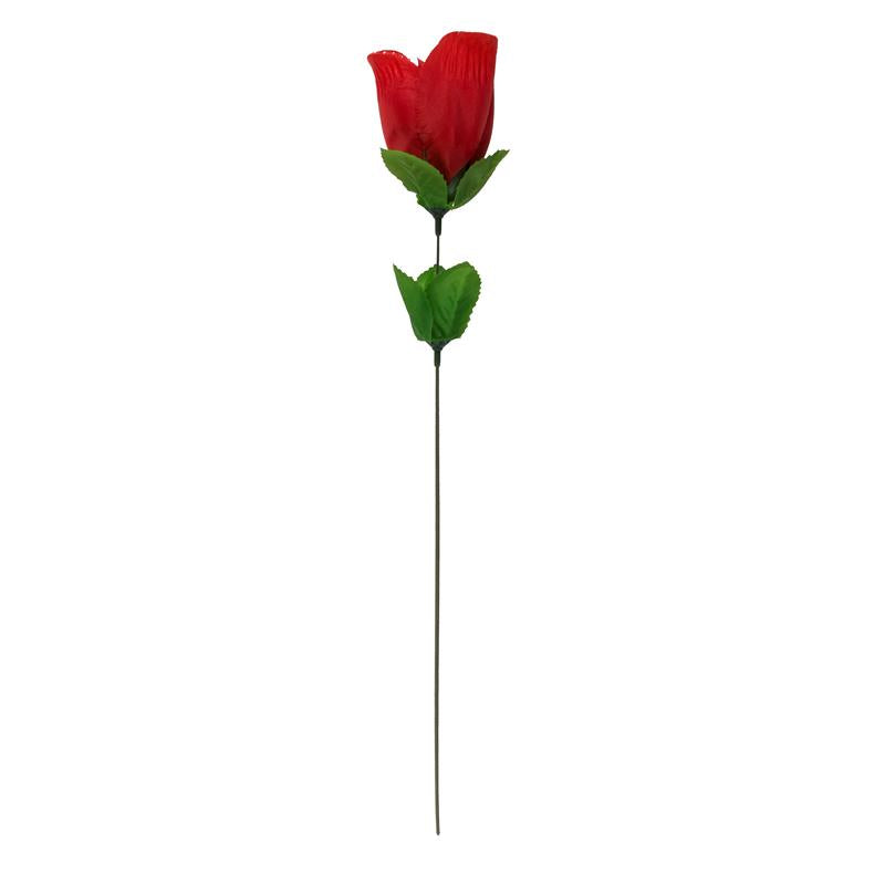 OOTB - TANGA EN ROSA ROJO
