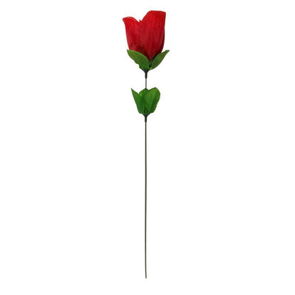 OOTB - TANGA EN ROSA ROJO
